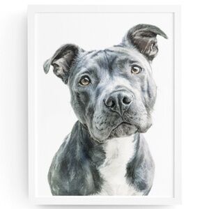 American Grey Pit Bull Terrier Watercolor Wall Art Print Poster - Unframed